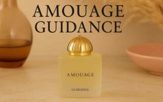 Amouage Guidance