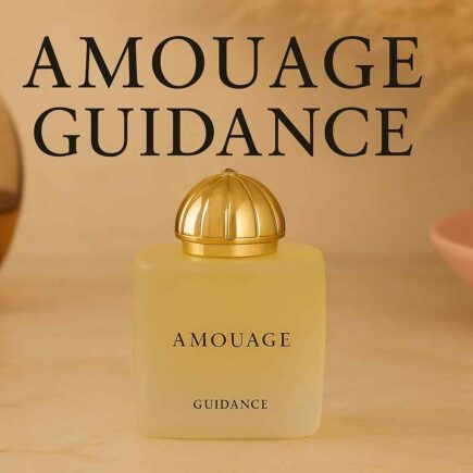 Amouage Guidance