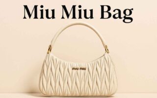 Miu Miu Bag